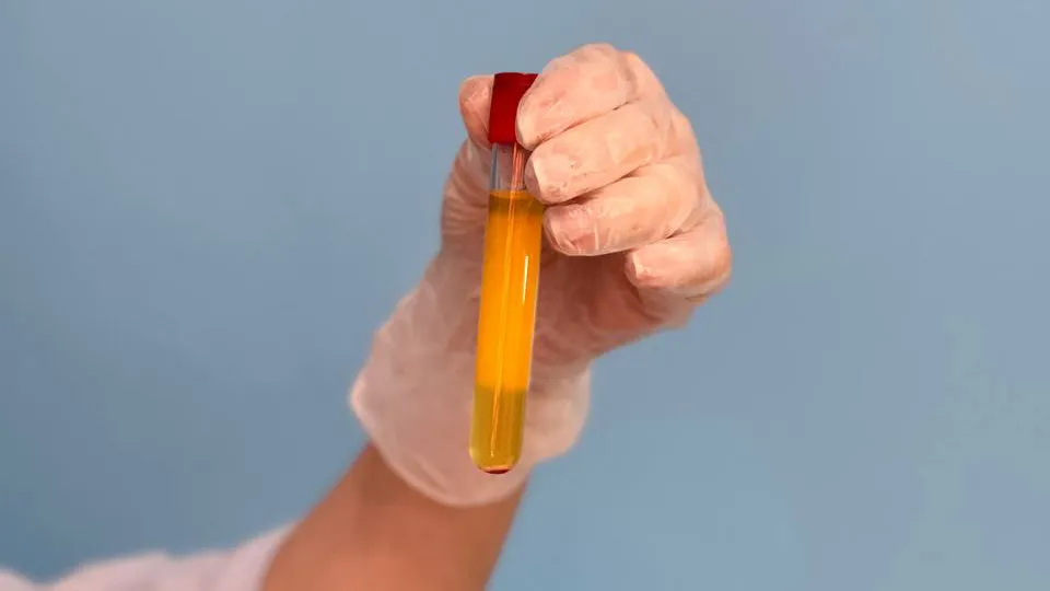 javansazi qazvin shinecenter.ir 3